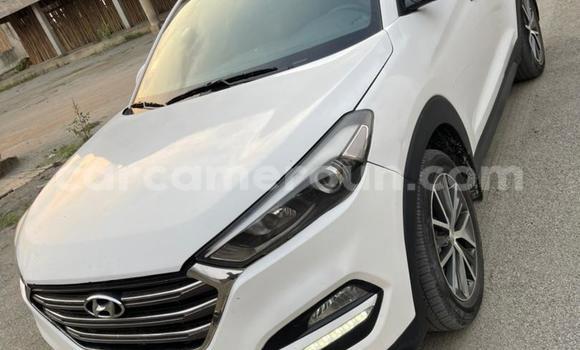 Acheter Neuf Voiture Hyundai Tucson Blanc à Douala, Littoral Cameroon Acheter Neuf Voiture Hyundai Tucson Blanc à Douala, Littoral Cameroon