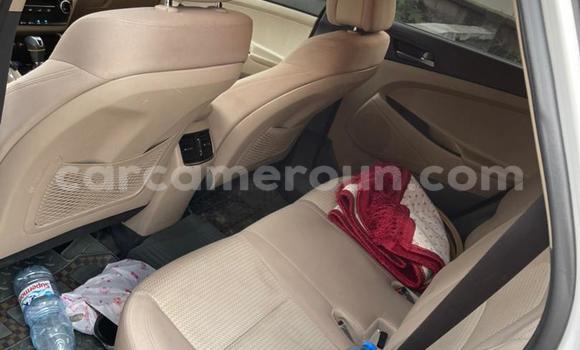 Acheter Neuf Voiture Hyundai Tucson Blanc à Douala, Littoral Cameroon Acheter Neuf Voiture Hyundai Tucson Blanc à Douala, Littoral Cameroon