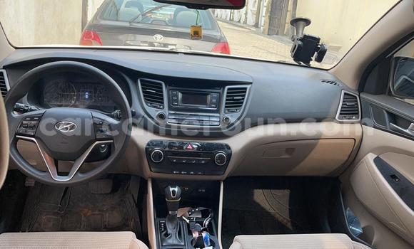 Acheter Neuf Voiture Hyundai Tucson Blanc à Douala, Littoral Cameroon Acheter Neuf Voiture Hyundai Tucson Blanc à Douala, Littoral Cameroon