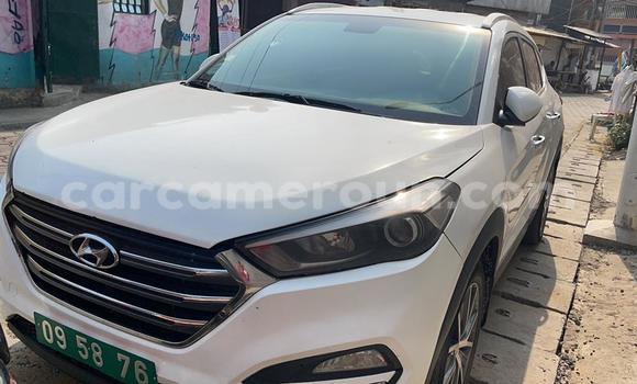 Acheter Neuf Voiture Hyundai Tucson Blanc à Douala, Littoral Cameroon Acheter Neuf Voiture Hyundai Tucson Blanc à Douala, Littoral Cameroon