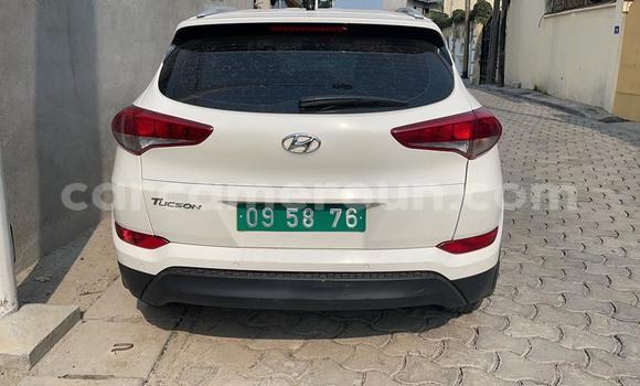 Acheter Neuf Voiture Hyundai Tucson Blanc à Douala, Littoral Cameroon Acheter Neuf Voiture Hyundai Tucson Blanc à Douala, Littoral Cameroon