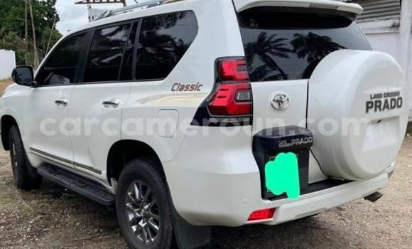 Sayi Na hannu Toyota Prado White Mota in Douala a Ƙasar Kamaru Sayi Na hannu Toyota Prado White Mota in Douala a Ƙasar Kamaru