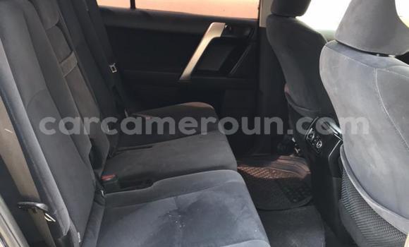 Acheter Import Voiture Toyota Land Cruiser Prado Bleu à Douala, Littoral Cameroon Acheter Import Voiture Toyota Land Cruiser Prado Bleu à Douala, Littoral Cameroon