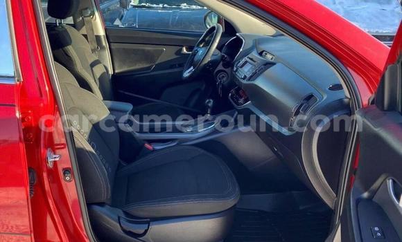 Sayi Imported Kia Sportage Red Mota in Douala a Ƙasar Kamaru Sayi Imported Kia Sportage Red Mota in Douala a Ƙasar Kamaru