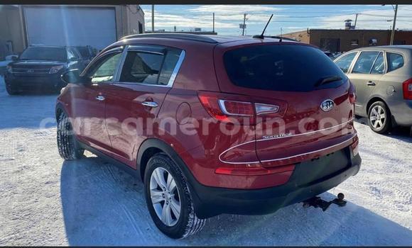Sayi Imported Kia Sportage Red Mota in Douala a Ƙasar Kamaru Sayi Imported Kia Sportage Red Mota in Douala a Ƙasar Kamaru