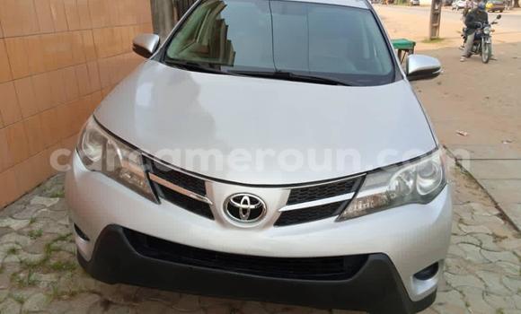Acheter Import Voiture Toyota RAV4 Autre à Douala, Littoral Cameroon Acheter Import Voiture Toyota RAV4 Autre à Douala, Littoral Cameroon