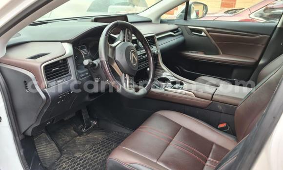 Sayi Imported Lexus RX White Mota in Douala a Ƙasar Kamaru Sayi Imported Lexus RX White Mota in Douala a Ƙasar Kamaru