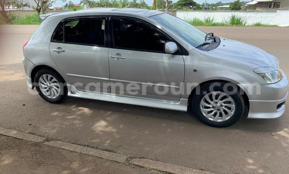 Buy New Toyota Runx Other Car in Douala in Littoral Cameroon Buy New Toyota Runx Other Car in Douala in Littoral Cameroon