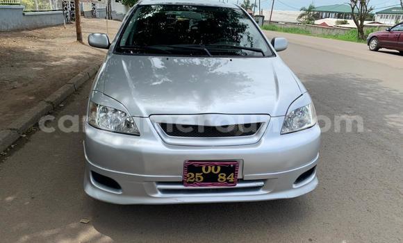 Buy New Toyota Runx Other Car in Douala in Littoral Cameroon Buy New Toyota Runx Other Car in Douala in Littoral Cameroon