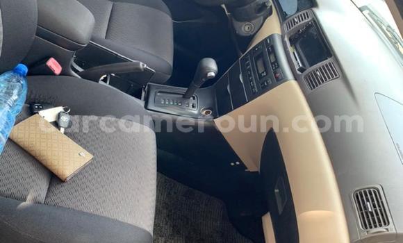 Buy New Toyota Runx Other Car in Douala in Littoral Cameroon Buy New Toyota Runx Other Car in Douala in Littoral Cameroon