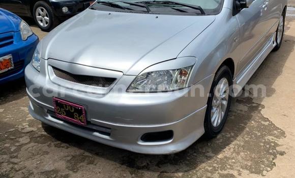 Buy New Toyota Runx Other Car in Douala in Littoral Cameroon Buy New Toyota Runx Other Car in Douala in Littoral Cameroon
