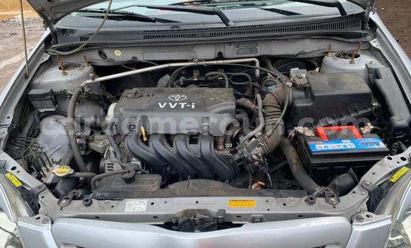 Buy New Toyota Runx Other Car in Douala in Littoral Cameroon Buy New Toyota Runx Other Car in Douala in Littoral Cameroon