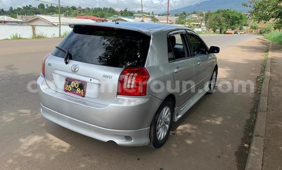 Buy New Toyota Runx Other Car in Douala in Littoral Cameroon Buy New Toyota Runx Other Car in Douala in Littoral Cameroon