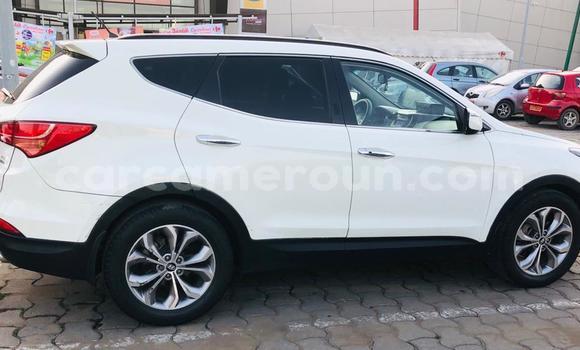Acheter Neuf Voiture Hyundai Santa Fe Blanc à Douala, Littoral Cameroon Acheter Neuf Voiture Hyundai Santa Fe Blanc à Douala, Littoral Cameroon