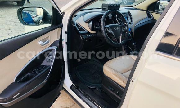 Acheter Neuf Voiture Hyundai Santa Fe Blanc à Douala, Littoral Cameroon Acheter Neuf Voiture Hyundai Santa Fe Blanc à Douala, Littoral Cameroon