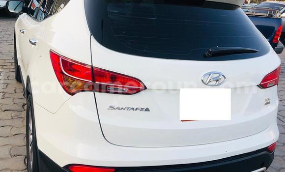 Acheter Neuf Voiture Hyundai Santa Fe Blanc à Douala, Littoral Cameroon Acheter Neuf Voiture Hyundai Santa Fe Blanc à Douala, Littoral Cameroon