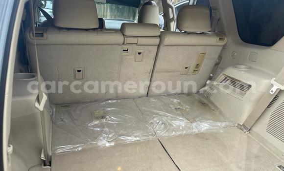 Sayi Imported Toyota Prado Azurfa Mota in Douala a Ƙasar Kamaru Sayi Imported Toyota Prado Azurfa Mota in Douala a Ƙasar Kamaru