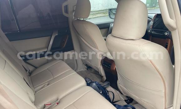 Sayi Imported Toyota Prado Azurfa Mota in Douala a Ƙasar Kamaru Sayi Imported Toyota Prado Azurfa Mota in Douala a Ƙasar Kamaru