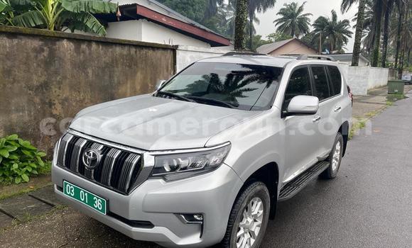 Sayi Imported Toyota Prado Azurfa Mota in Douala a Ƙasar Kamaru Sayi Imported Toyota Prado Azurfa Mota in Douala a Ƙasar Kamaru