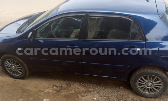 Buy Used Toyota Corolla Blue Car in Douala in Littoral Cameroon Buy Used Toyota Corolla Blue Car in Douala in Littoral Cameroon