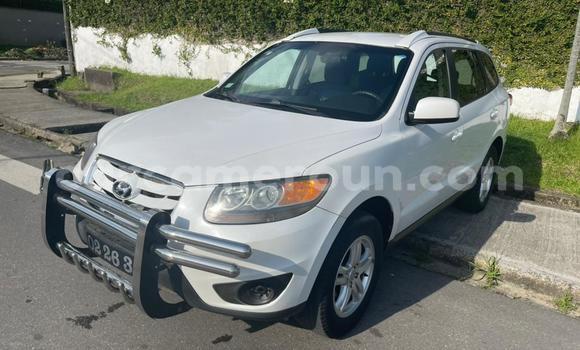 Acheter Occasion Voiture Hyundai Santa Fe Blanc à Douala, Littoral Cameroon Acheter Occasion Voiture Hyundai Santa Fe Blanc à Douala, Littoral Cameroon