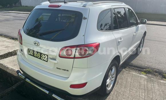 Acheter Occasion Voiture Hyundai Santa Fe Blanc à Douala, Littoral Cameroon Acheter Occasion Voiture Hyundai Santa Fe Blanc à Douala, Littoral Cameroon