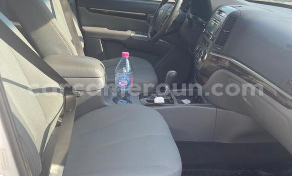 Acheter Occasion Voiture Hyundai Santa Fe Blanc à Douala, Littoral Cameroon Acheter Occasion Voiture Hyundai Santa Fe Blanc à Douala, Littoral Cameroon