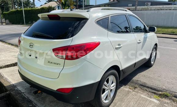 Acheter Occasion Voiture Hyundai Tucson Blanc à Douala, Littoral Cameroon Acheter Occasion Voiture Hyundai Tucson Blanc à Douala, Littoral Cameroon