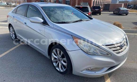 Acheter Neuf Voiture Hyundai Sonata Blanc à Douala, Littoral Cameroon Acheter Neuf Voiture Hyundai Sonata Blanc à Douala, Littoral Cameroon