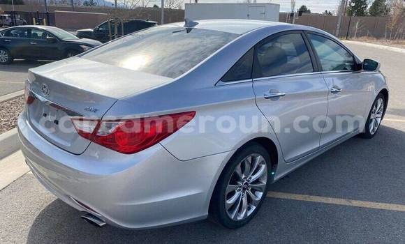 Acheter Neuf Voiture Hyundai Sonata Blanc à Douala, Littoral Cameroon Acheter Neuf Voiture Hyundai Sonata Blanc à Douala, Littoral Cameroon