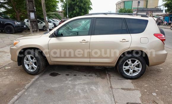 Buy New Toyota RAV4 Other Car in Douala in Littoral Cameroon Buy New Toyota RAV4 Other Car in Douala in Littoral Cameroon