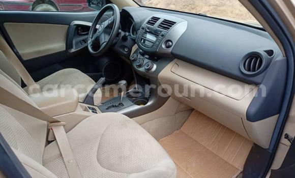 Buy New Toyota RAV4 Other Car in Douala in Littoral Cameroon Buy New Toyota RAV4 Other Car in Douala in Littoral Cameroon