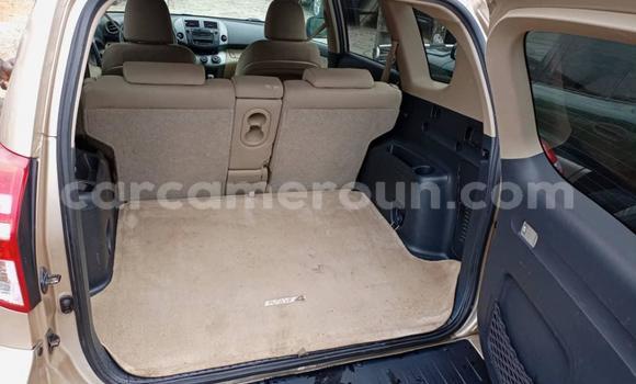Buy New Toyota RAV4 Other Car in Douala in Littoral Cameroon Buy New Toyota RAV4 Other Car in Douala in Littoral Cameroon