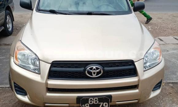 Buy New Toyota RAV4 Other Car in Douala in Littoral Cameroon Buy New Toyota RAV4 Other Car in Douala in Littoral Cameroon