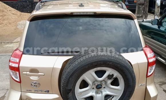 Buy New Toyota RAV4 Other Car in Douala in Littoral Cameroon Buy New Toyota RAV4 Other Car in Douala in Littoral Cameroon