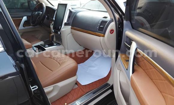 Acheter Neuf Voiture Toyota Land Cruiser Noir à Douala, Littoral Cameroon Acheter Neuf Voiture Toyota Land Cruiser Noir à Douala, Littoral Cameroon