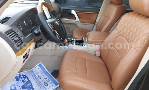 Acheter Neuf Voiture Toyota Land Cruiser Noir à Douala, Littoral Cameroon Acheter Neuf Voiture Toyota Land Cruiser Noir à Douala, Littoral Cameroon