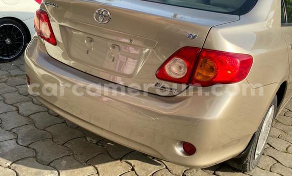 Buy Import Toyota Corolla Beige Car in Douala in Littoral Cameroon Buy Import Toyota Corolla Beige Car in Douala in Littoral Cameroon