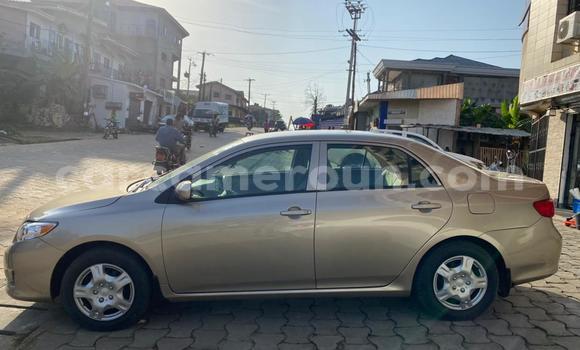 Buy Import Toyota Corolla Beige Car in Douala in Littoral Cameroon Buy Import Toyota Corolla Beige Car in Douala in Littoral Cameroon