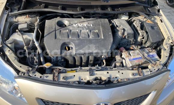 Buy Import Toyota Corolla Beige Car in Douala in Littoral Cameroon Buy Import Toyota Corolla Beige Car in Douala in Littoral Cameroon