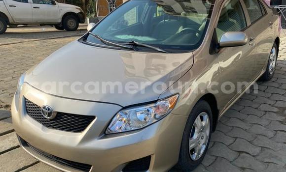 Buy Import Toyota Corolla Beige Car in Douala in Littoral Cameroon Buy Import Toyota Corolla Beige Car in Douala in Littoral Cameroon