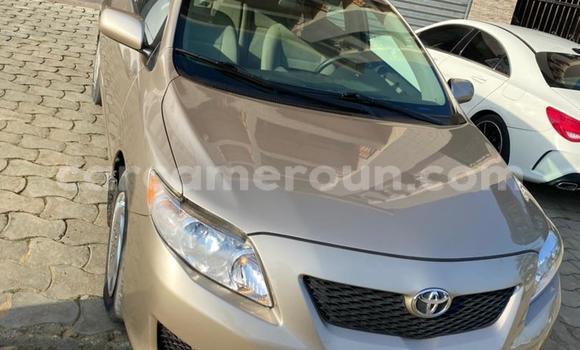 Buy Import Toyota Corolla Beige Car in Douala in Littoral Cameroon Buy Import Toyota Corolla Beige Car in Douala in Littoral Cameroon