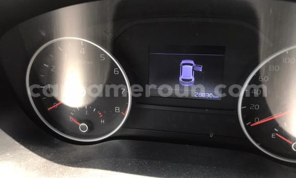 Sayi Na hannu Kia Sportage White Mota in Douala a Ƙasar Kamaru Sayi Na hannu Kia Sportage White Mota in Douala a Ƙasar Kamaru