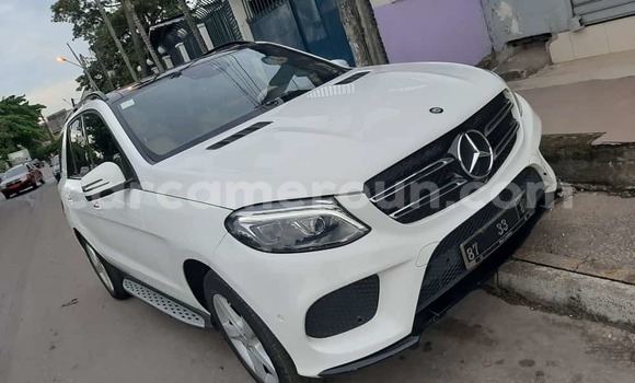 Sayi Sabo Mercedes Viano Sauran Mota in Douala a Ƙasar Kamaru