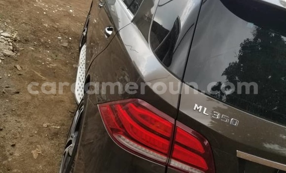 Buy Import Mercedes‒Benz ML–Class Other Car in Douala in Littoral Cameroon Buy Import Mercedes‒Benz ML–Class Other Car in Douala in Littoral Cameroon