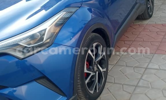 Sayi Na hannu Toyota C-HR Blue Mota in Douala a Ƙasar Kamaru Sayi Na hannu Toyota C-HR Blue Mota in Douala a Ƙasar Kamaru