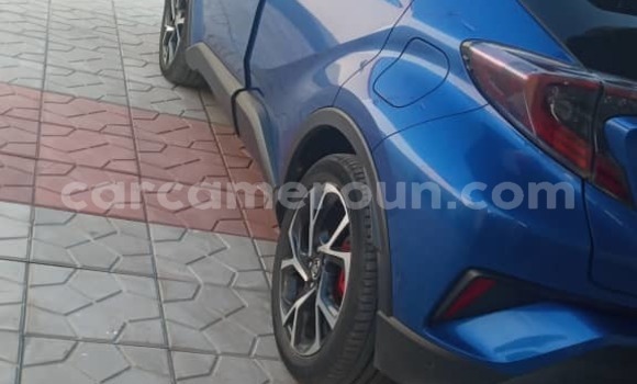 Sayi Na hannu Toyota C-HR Blue Mota in Douala a Ƙasar Kamaru Sayi Na hannu Toyota C-HR Blue Mota in Douala a Ƙasar Kamaru