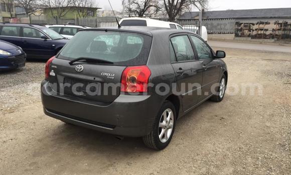 Acheter Occasion Voiture Toyota Runx Autre à Ngaoundéré, Adamawa Acheter Occasion Voiture Toyota Runx Autre à Ngaoundéré, Adamawa
