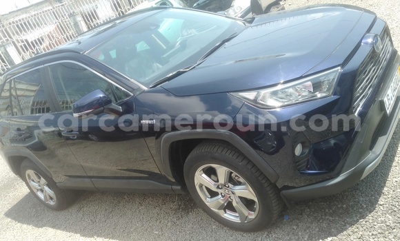 Buy Import Toyota RAV4 Blue Car in Douala in Littoral Cameroon Buy Import Toyota RAV4 Blue Car in Douala in Littoral Cameroon