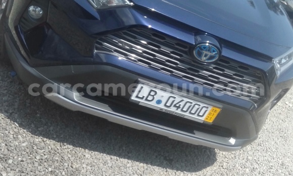 Buy Import Toyota RAV4 Blue Car in Douala in Littoral Cameroon Buy Import Toyota RAV4 Blue Car in Douala in Littoral Cameroon